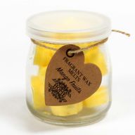Doftande Sojavaxer i Burk - Mango