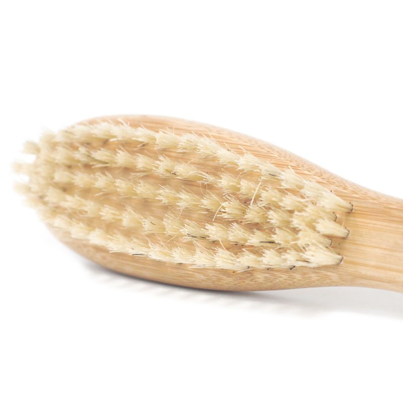 Skäggborste