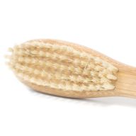 Skäggborste