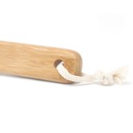 Skäggborste