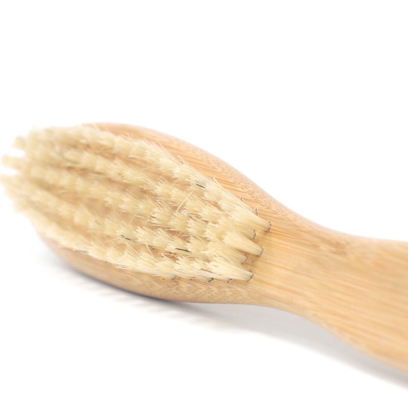 Skäggborste
