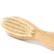 Skäggborste