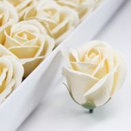 Tvålblommor till Hantverk - Mellanstor Ros - Elfenben