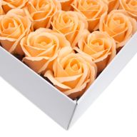 Tvålblommor till Hantverk - Mellanstor Ros - Persika
