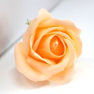 Tvålblommor till Hantverk - Mellanstor Ros - Persika