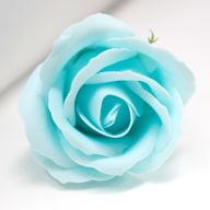 Tvålblommor till Hantverk - Mellanstor Ros - Baby Blå
