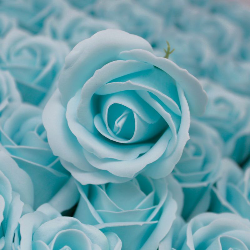 Tvålblommor till Hantverk - Mellanstor Ros - Baby Blå