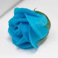 Tvålblommor till Hantverk - Mellanstor Ros - Himmelsblå