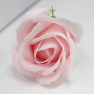 Tvålblommor till Hantverk - Mellanstor Ros - Ljusrosa