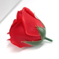Tvålblommor till Hantverk - Mellanstor Ros - Röd