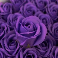 Tvålblommor till Hantverk - Mellanstor Ros - Lavendel