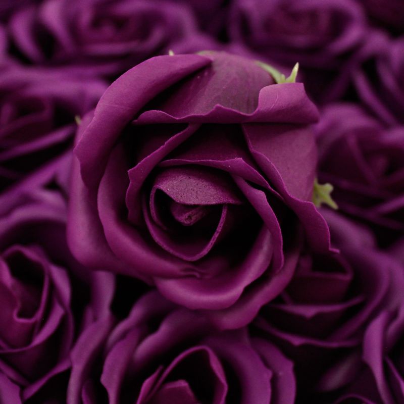 Tvålblommor till Hantverk - Mellanstor Ros - Mörk Violett