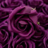 Tvålblommor till Hantverk - Mellanstor Ros - Mörk Violett