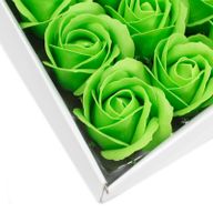 Tvålblommor till Hantverk - Mellanstor Ros - Grön