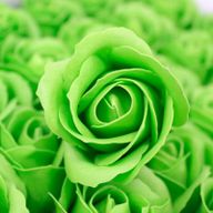 Tvålblommor till Hantverk - Mellanstor Ros - Grön
