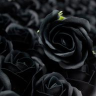Tvålblommor till Hantverk - Mellanstor Ros - Svart