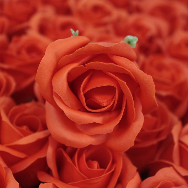 Tvålblommor till Hantverk - Mellanstor Ros - Mörk Orange