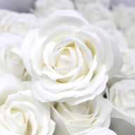 Tvålblommor till Hantverk - Stor Ros - Vit