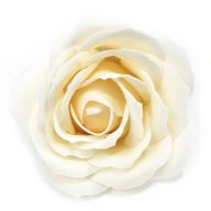 Tvålblommor till Hantverk - Stor Ros - Elfenben