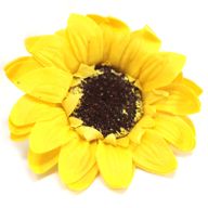 Tvålblommor till Hantverk - Stor Solros - Gul