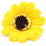 Tvålblommor till Hantverk - Liten Solros - Gul