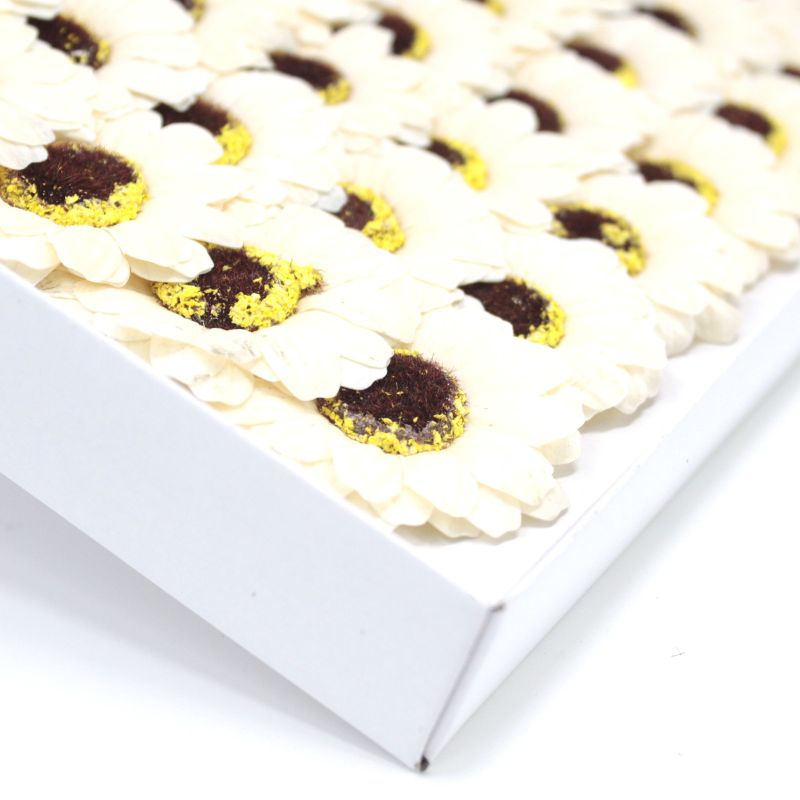 Tvålblommor till Hantverk - Liten Solros - Elfenben