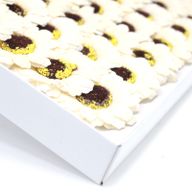 Tvålblommor till Hantverk - Liten Solros - Elfenben