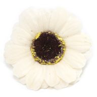 Tvålblommor till Hantverk - Liten Solros - Elfenben