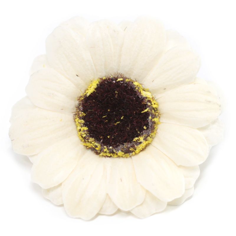 Tvålblommor till Hantverk - Liten Solros - Elfenben