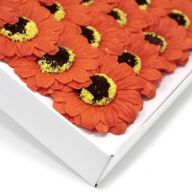 Tvålblommor till Hantverk - Liten Solros - Orange