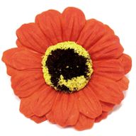 Tvålblommor till Hantverk - Liten Solros - Orange