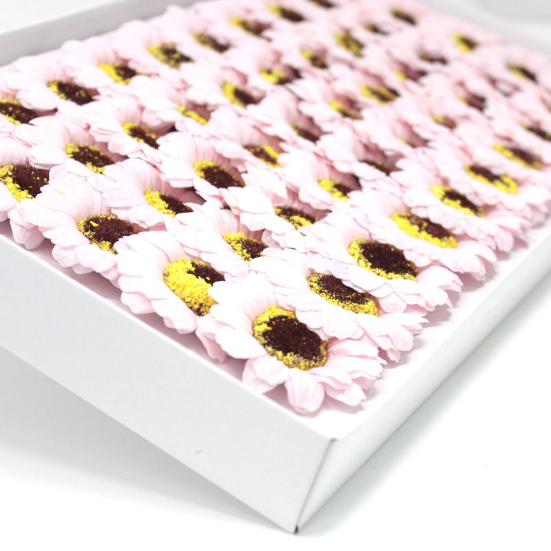 Tvålblommor till Hantverk - Liten Solros - Ljusrosa