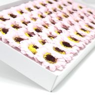 Tvålblommor till Hantverk - Liten Solros - Ljusrosa