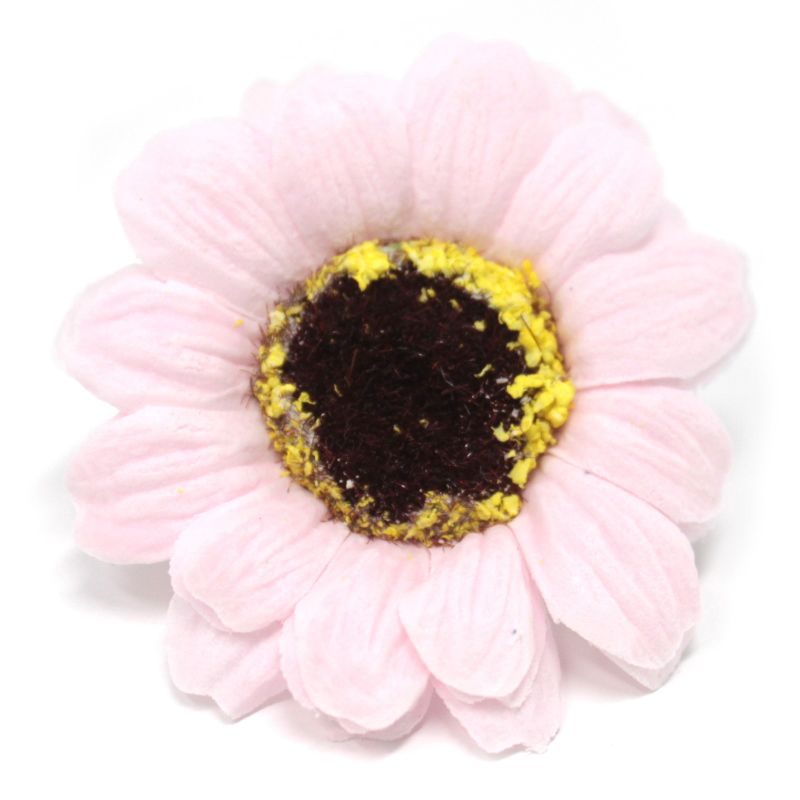 Tvålblommor till Hantverk - Liten Solros - Ljusrosa