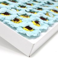 Tvålblommor till Hantverk - Liten Solros - Ljusblå