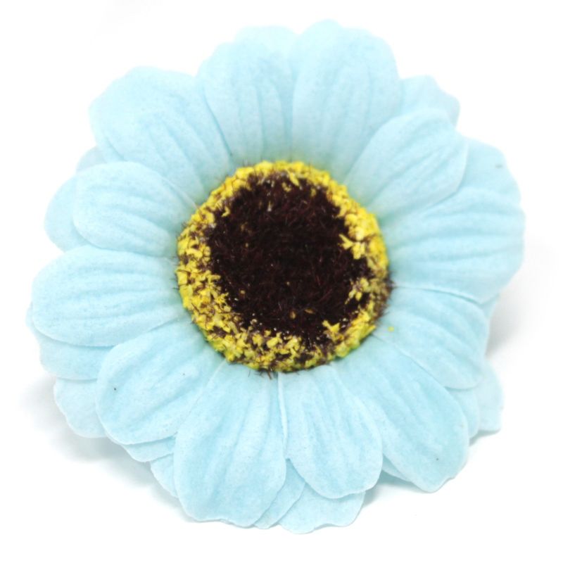 Tvålblommor till Hantverk - Liten Solros - Ljusblå