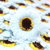 Tvålblommor till Hantverk - Liten Solros - Ljusblå