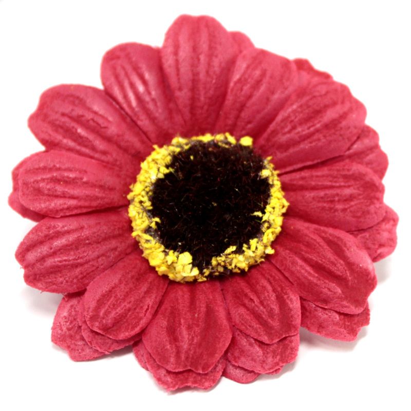 Tvålblommor till Hantverk - Liten Solros - Röd