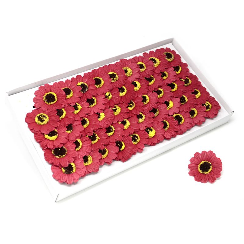 Tvålblommor till Hantverk - Liten Solros - Röd