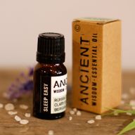Sov Lugnt Eterisk Oljeblandning - Förpackad - 10ml