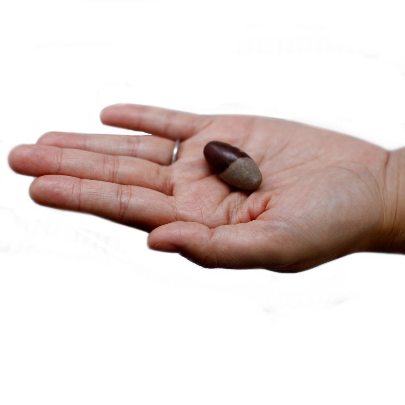 2.54cm Shiva Lingam - 3 Stenar