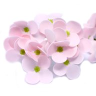 Tvålblommor till Hantverk - Hortensia - Rosa