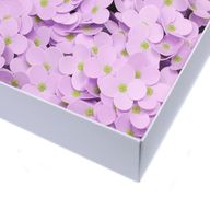 Tvålblommor till Hantverk - Hortensia - Lavendel