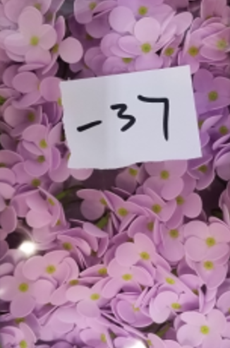 Tvålblommor till Hantverk - Hortensia - Lavendel