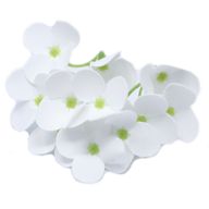 Tvålblommor till Hantverk - Hortensia - Vit