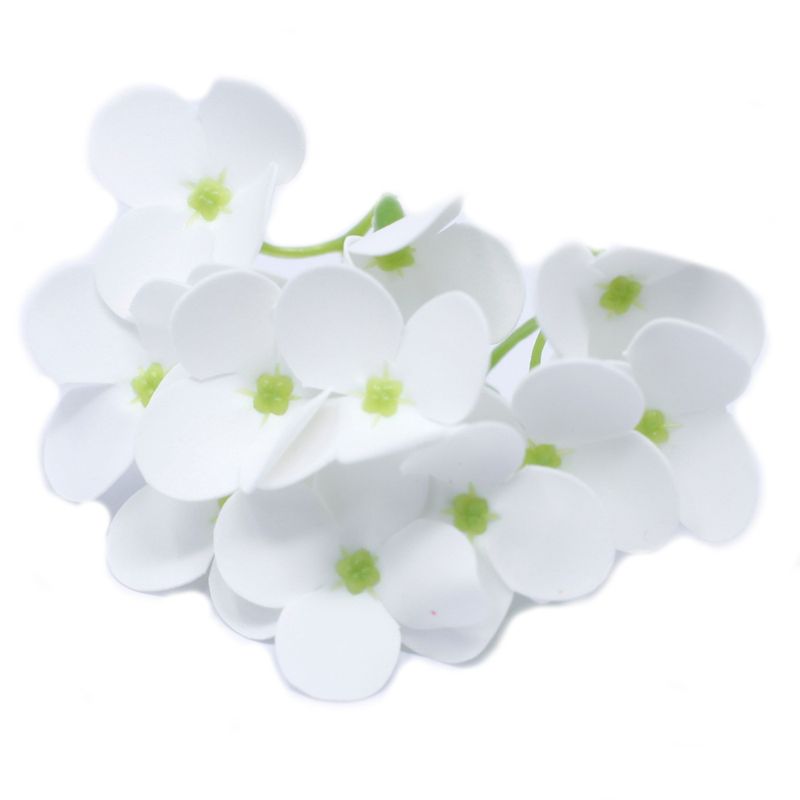 Tvålblommor till Hantverk - Hortensia - Vit