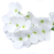 Tvålblommor till Hantverk - Hortensia - Vit