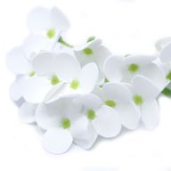 Tvålblommor till Hantverk - Hortensia - Vit