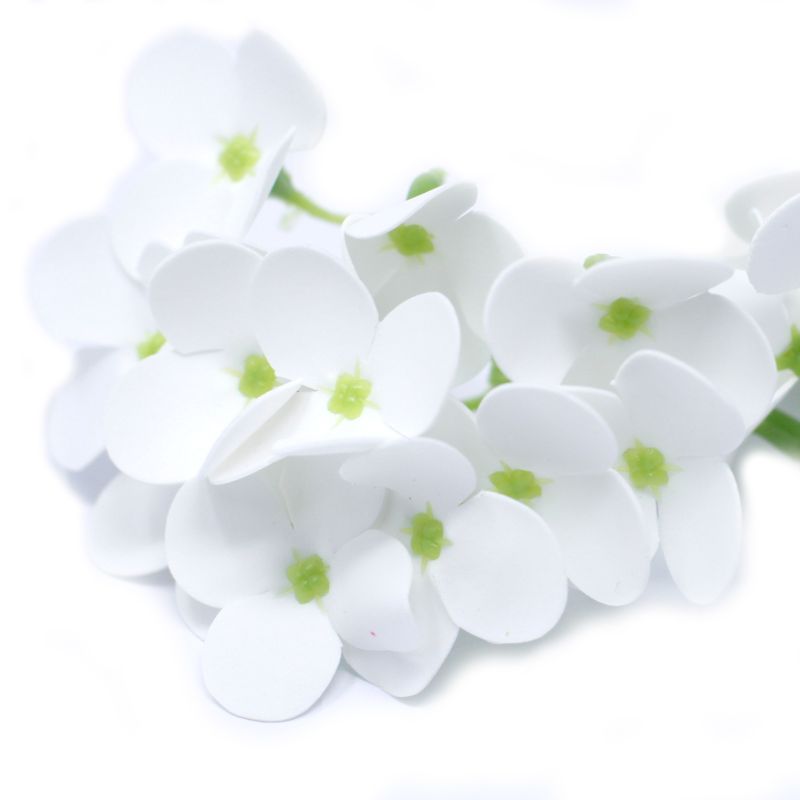 Tvålblommor till Hantverk - Hortensia - Vit