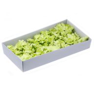Tvålblommor till Hantverk - Hortensia - Vårgrön